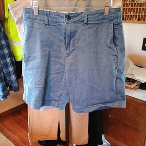 American Eagle Outfitters Light Blue Flat-Front Chino Shorts